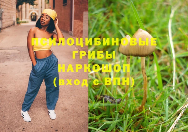 mix Горняк